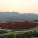 의성조문국사적지 이미지