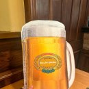 궁전하우스 | 오스트리아 빈 여행 벨베데레 궁전 근처 유명 양조장 살름브로이 방문 후기