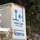 푸바오애견 이미지