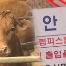 통일한우농장 이미지