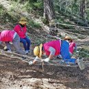 남산숲어린이집 이미지