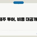 제주한라투어버스대절 이미지