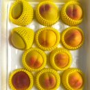 꼭이요농장 | 송동농장 복숭아맛집, 지금 꼭 먹어야 할 국내산 복숭아 추천 후기