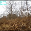 낙동면 상촌리 이미지