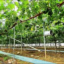 기철농장 이미지