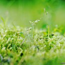 대지-생명 이미지