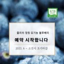 과일앤정원