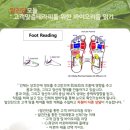 월아로마