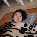 다민농장 이미지