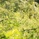 태릉입구역 만남의광장 이미지