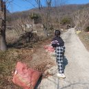 환진농장 이미지