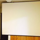 숲속의 하얀별 이미지