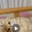 라운드브리(roundbri) 이미지