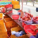 새재왕건식당 이미지