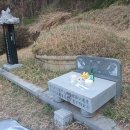 일등농약종묘도매상사 Daum카페