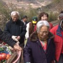 딸 부잣집 이미지