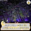 가야금(야간) 이미지