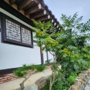 진도한옥목향민박 이미지