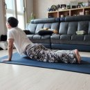 직장인 건강교실 이미지