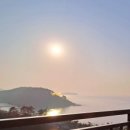 비단바라기 이미지