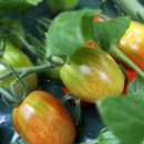 훈민농장 이미지