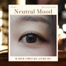 트랜드위드 | 뉴트럴무드 원데이 브라운 착용후기 :: 아이트랜드 위드렌즈 대구감삼점 👁️👁️✨ 감삼역 렌즈