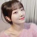 파이올린 이미지