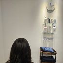 영양쎈타 분당점 | [분당] 야탑 탈모&amp;두피 관리 전문 센터 "더마힐MGF" 문제성 두피 케어+헤드 스파 후기