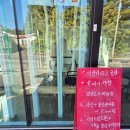 서광리-3 | 제주 감귤체험 추천: 서광리123정원(1kg 체험 후기)