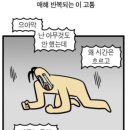 율지8로 이미지
