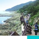 갈맷길3-3구간 이미지