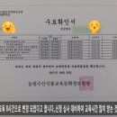 연봉농장 이미지