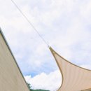 스테이담장 이미지