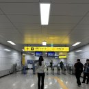 시가있는상회 | [노량진 맛집] 형제상회, 강변식당 초장집/온누리상품권 사용 후기_251022