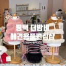 더밤비평택