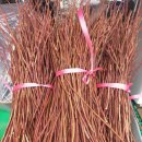 목골농장 이미지