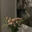 리네아발레스튜디오 이미지