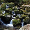 숨은 계곡 이미지