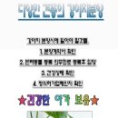 이프멍멍 이미지