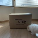 팡이를 위한 초코펫하우스 / 강아지 슬라이딩 계단 / 직접 구매 사용 후기