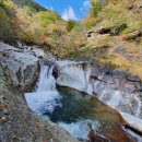 인제군자연산버섯 협동조합 이미지