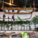 호텔 카르페디엠 이미지