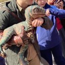 용이수정소 | 260320~0323 베이징 여행 #3. 유니버셜 스튜디오 베이징 완전 정복! 지쳤나요? 네... 카오위 bless me