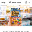 [후쿠오카 4일차] 일본 효도 여행의 꽃은 샤론파스