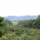 동문그린 이미지