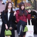 신비 마이데일리