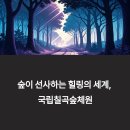 국립칠곡숲체원: 몸과 마음을 치유하는 자연 속 힐링 공간 완벽 가이드