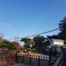 금산수삼센타 이미지