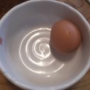 천마산토종순대국