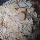 설빙신월성점 이미지